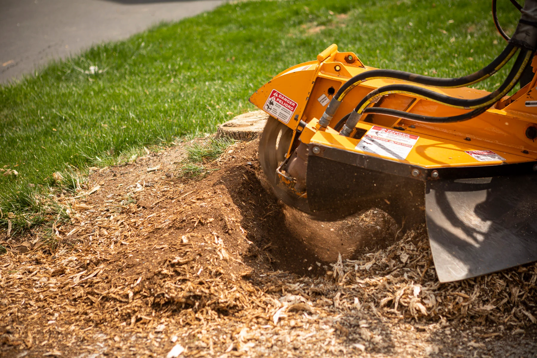Professional stump grinder removing a stump in a residential yard